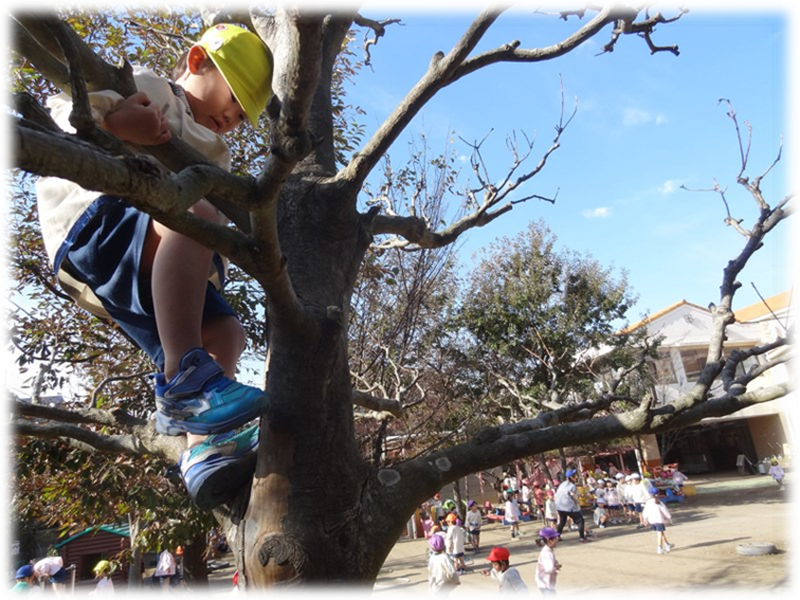 船橋いづみ幼稚園の木育