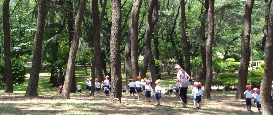 船橋いづみ幼稚園の歩け歩け運動、松林において