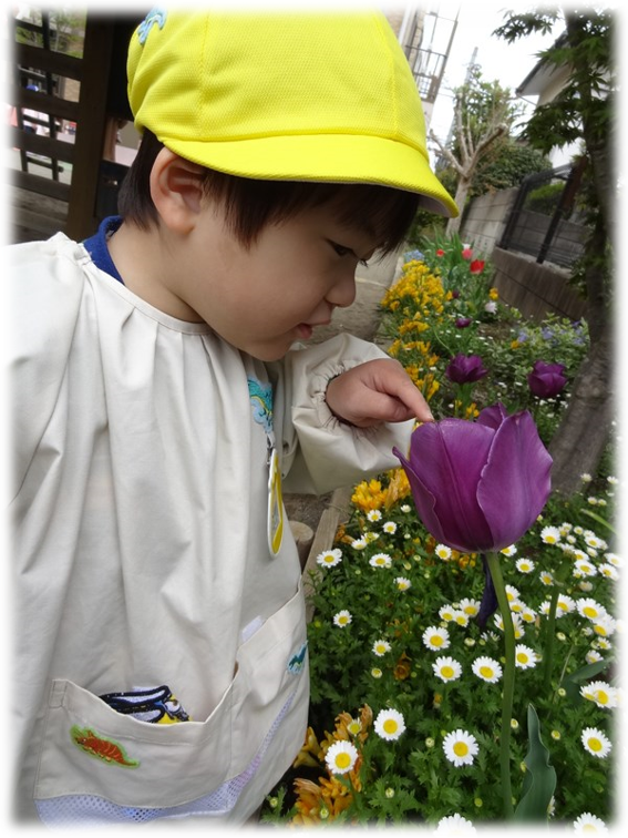 園庭、公園での活動