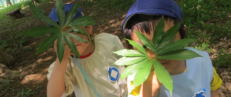 船橋いづみ幼稚園の自然と触れ合う活動、葉っぱの仮面